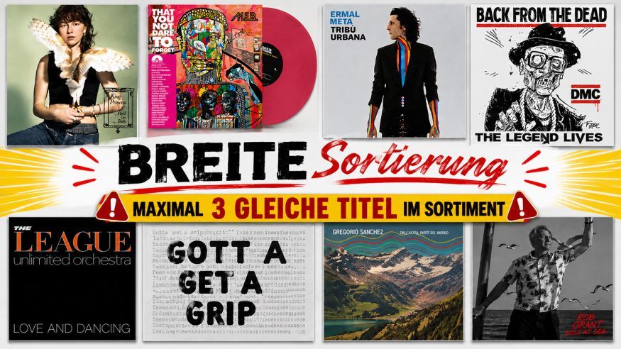 100 Vinyl-Sortiment