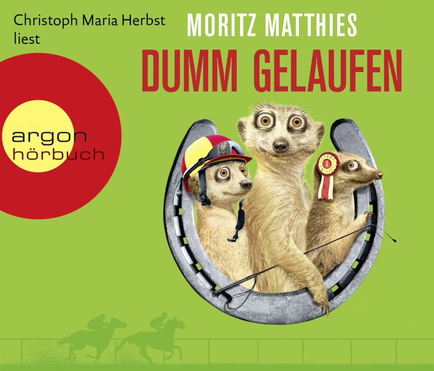 Dumm gelaufen (Hörbuch)(4CDs)