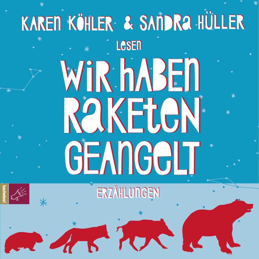 Wir haben Raketen geangelt (Hörbuch)(4CDs)